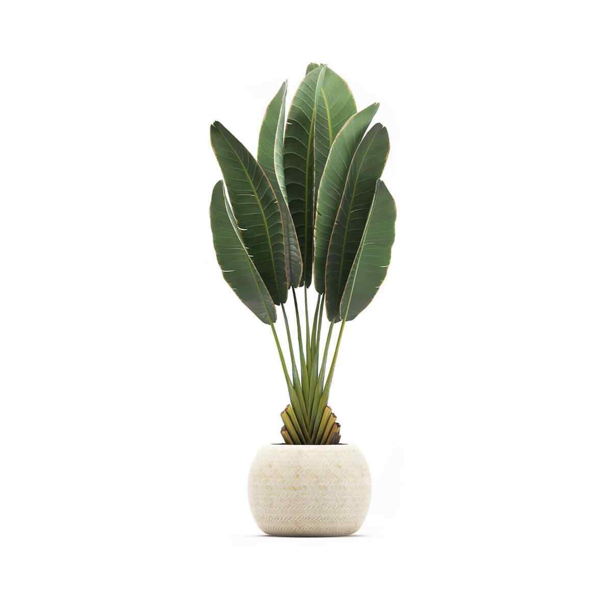 https://irrigation805.com/wp-content/uploads/2018/09/product_06.jpg