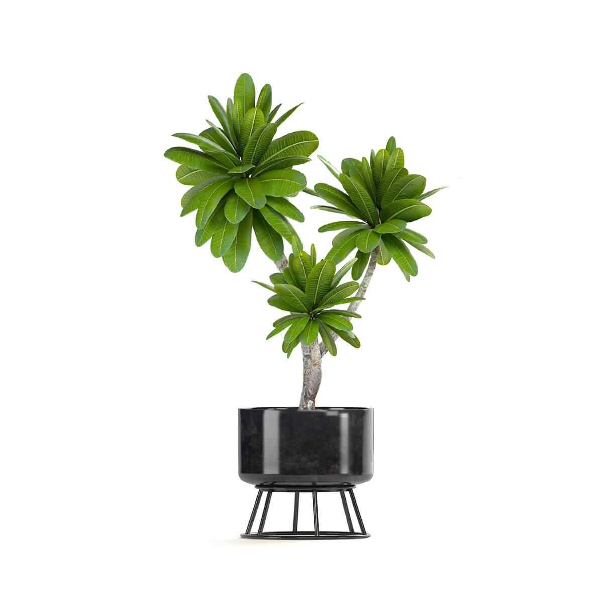 https://irrigation805.com/wp-content/uploads/2018/09/product_08.jpg