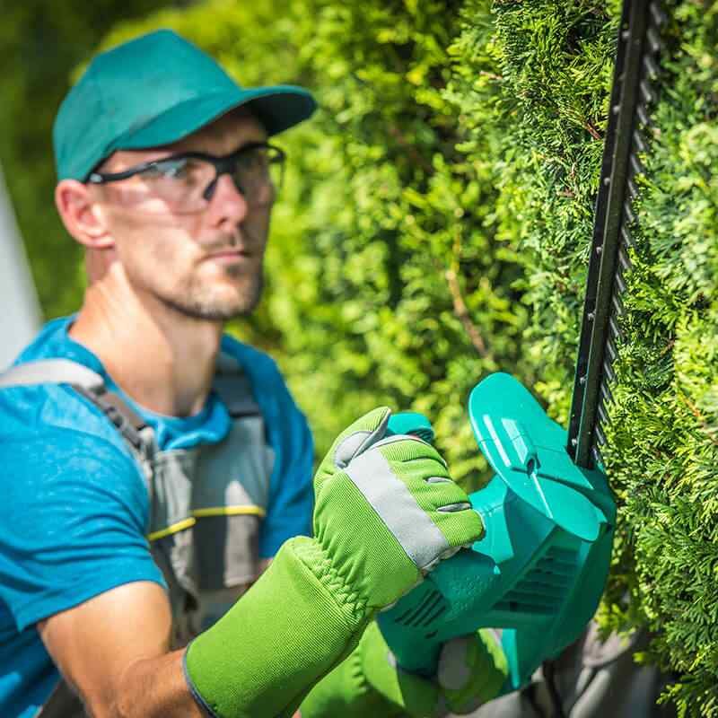 https://irrigation805.com/wp-content/uploads/2019/08/team_05.jpg