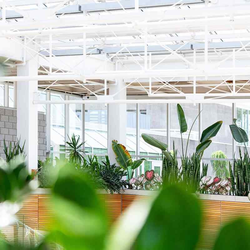 https://irrigation805.com/wp-content/uploads/2019/09/card_15.jpg