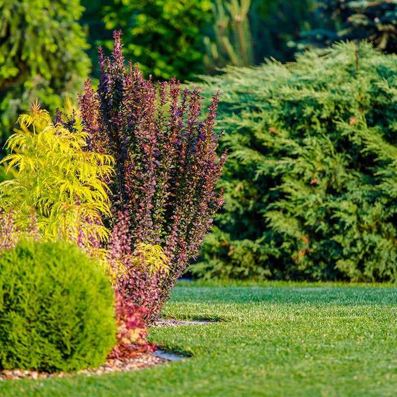 https://irrigation805.com/wp-content/uploads/2019/09/card_17.jpg