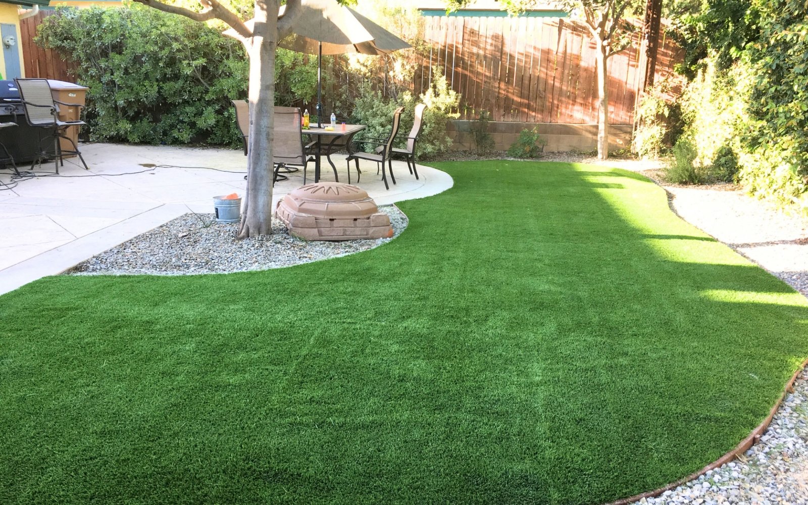 Grass